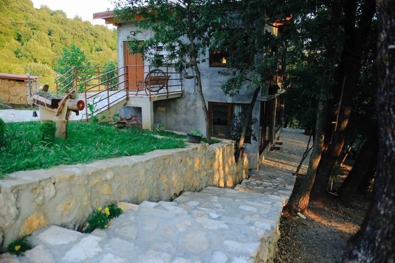Donkey Farm Martinici - Farma magaraca Martinici Bed & Breakfast Danilovgrad Exterior foto