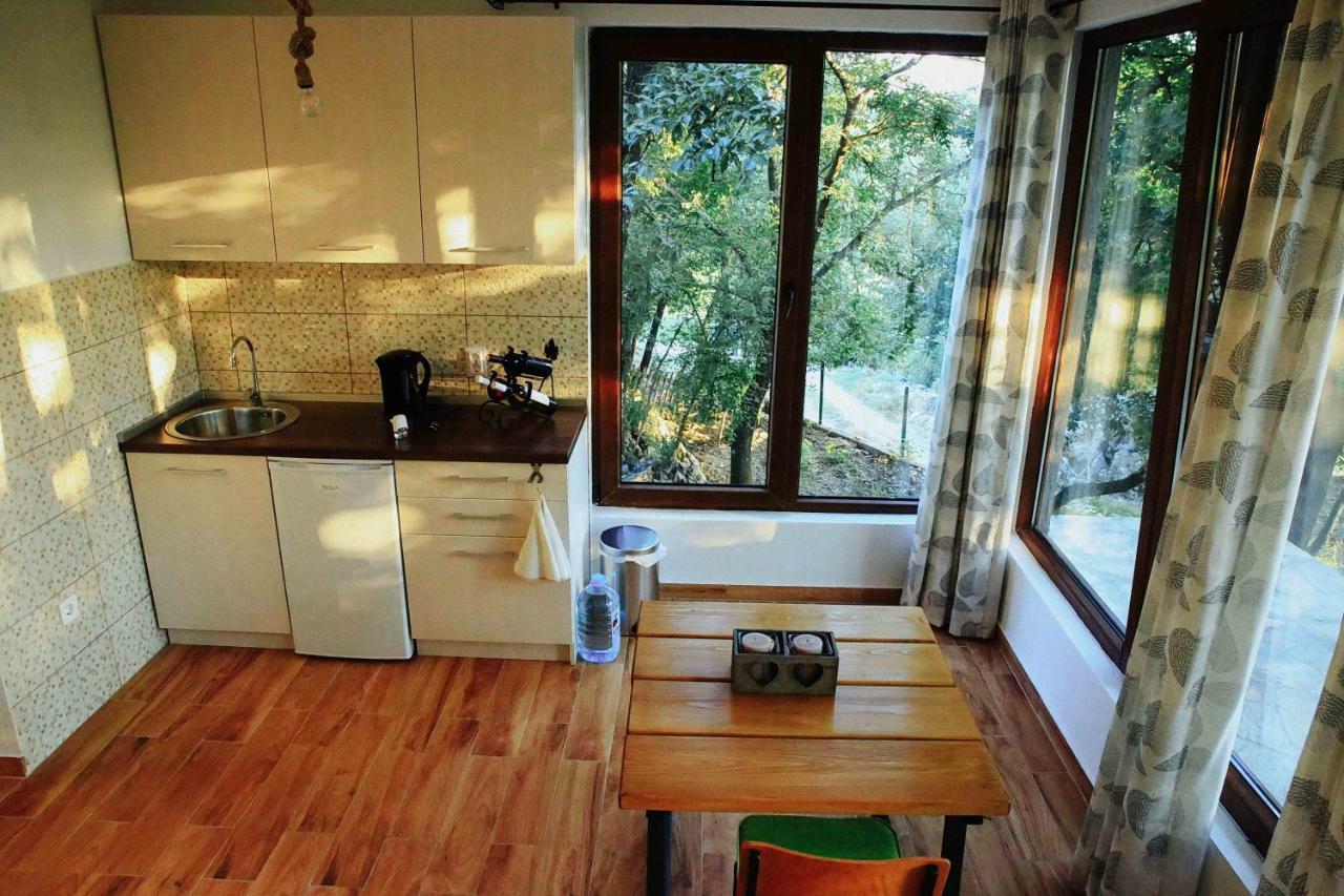 Donkey Farm Martinici - Farma magaraca Martinici Bed & Breakfast Danilovgrad Exterior foto